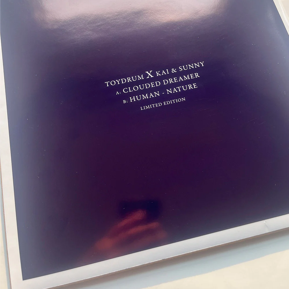 ToyDrum - 'Clouded Dreamer' Vinyl Record - Image 4
